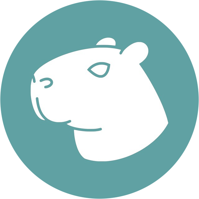 Vpn Score Capybara VPN — Proxy and VPN service